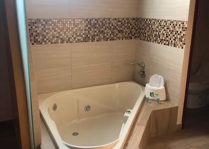 Jard Adult Only 4* México DF